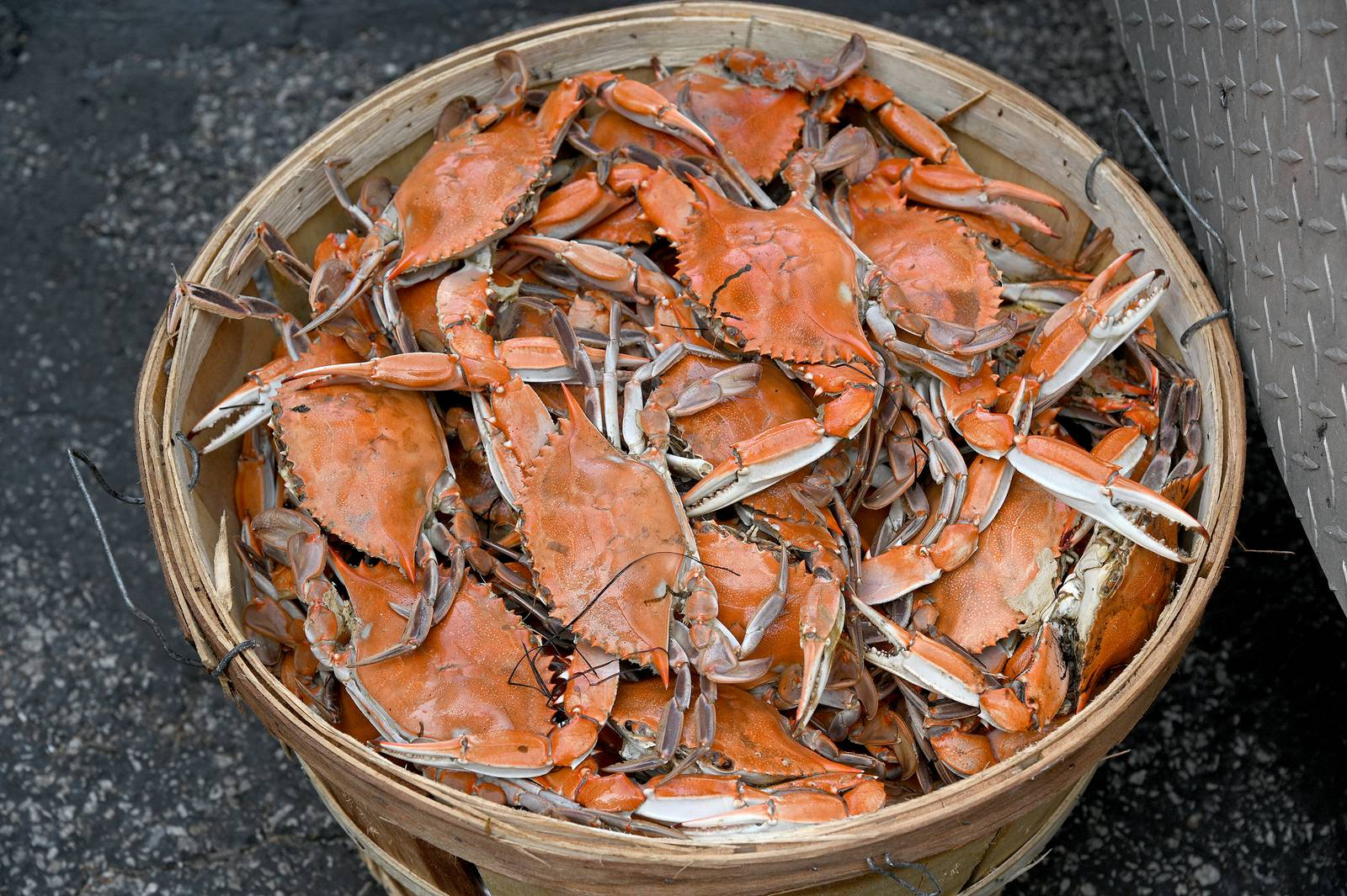 crab basket